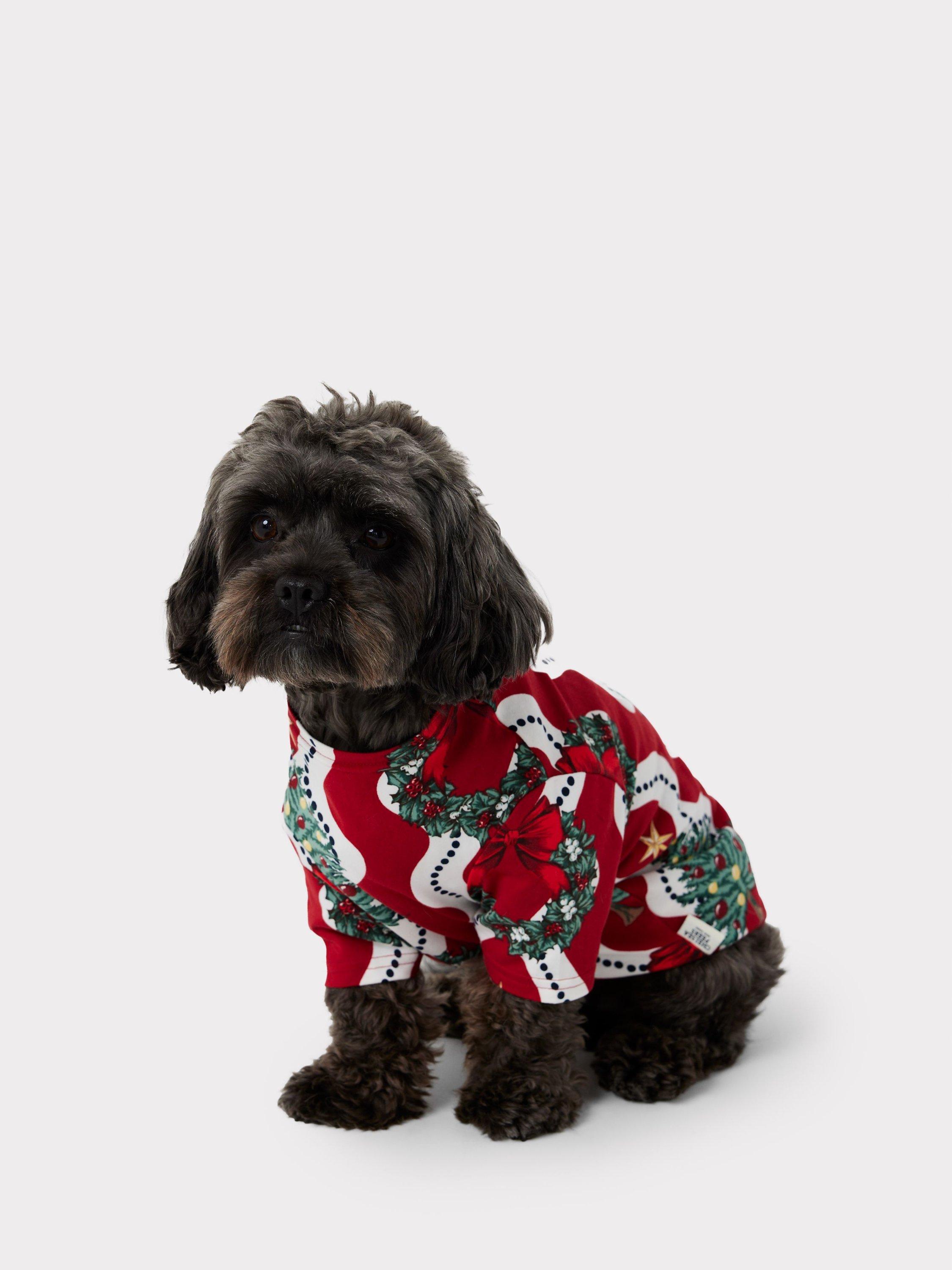 Chelsea peers dog pyjamas hotsell