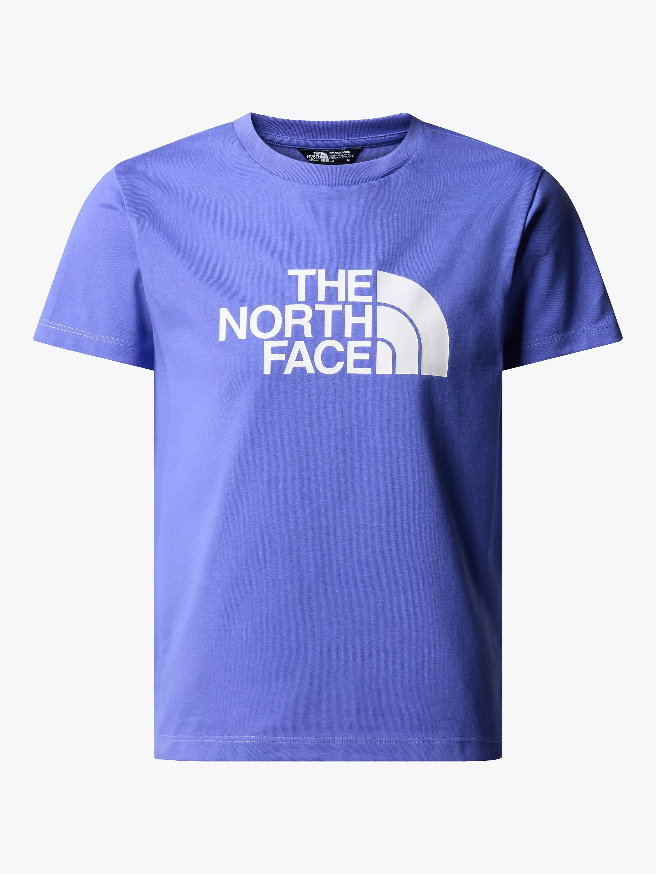 The North Face Kids Easy Logo Short Sleeve T Shirt Dopamine Blue