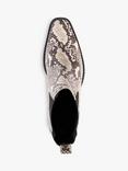 Dune London Pexas Snake Effect Leather Chelsea Boots, Black/Multi