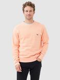 Rodd & Gunn Gunn Cotton Crew Neck Sweatshirt, Apricot