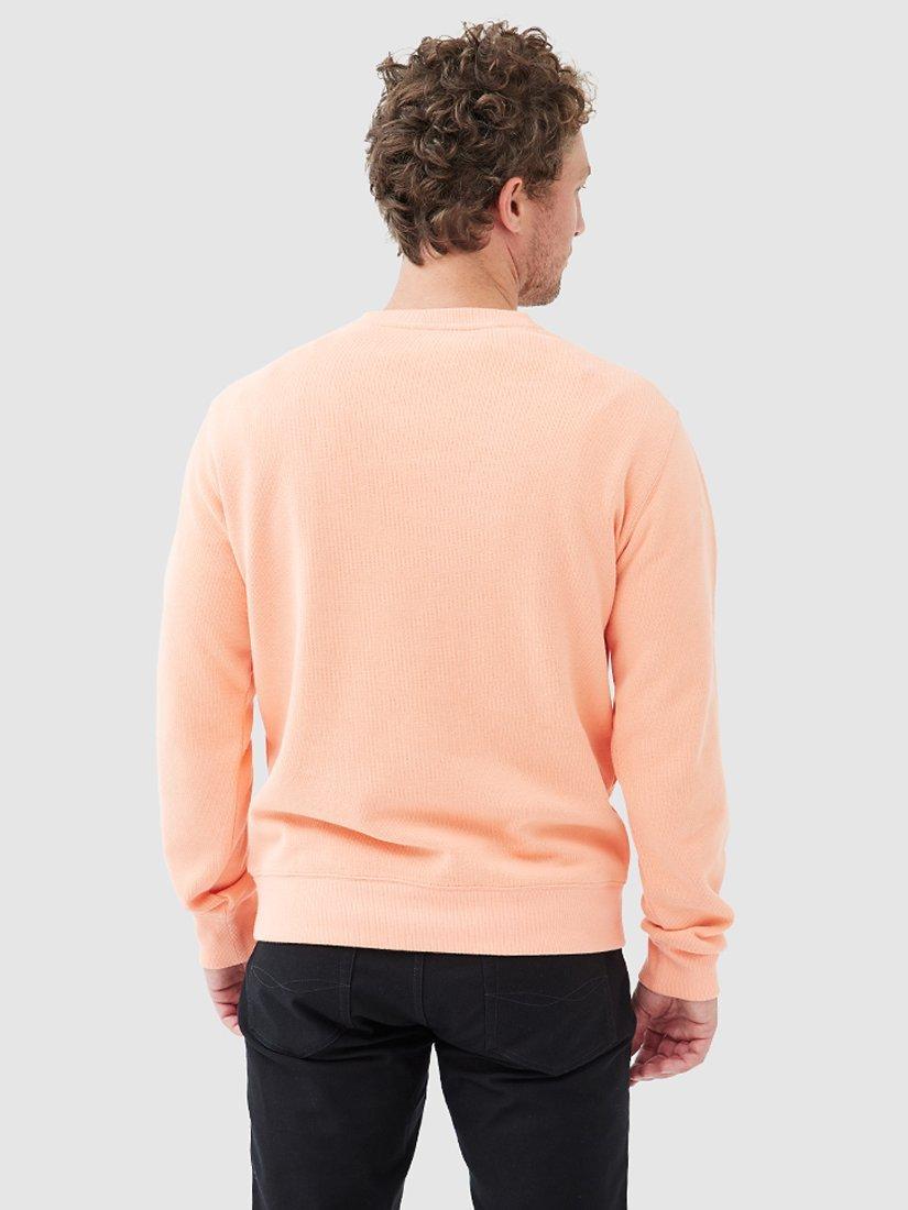 Product image 3 of 5, which shows Rodd & Gunn Gunn Cotton Crew Neck Sweatshirt, Apricot, XS