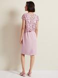 Phase Eight Tallula Lace Dress, Pink