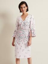 Phase Eight Petite Diana Floral Lace Midi Dress, White/Multi
