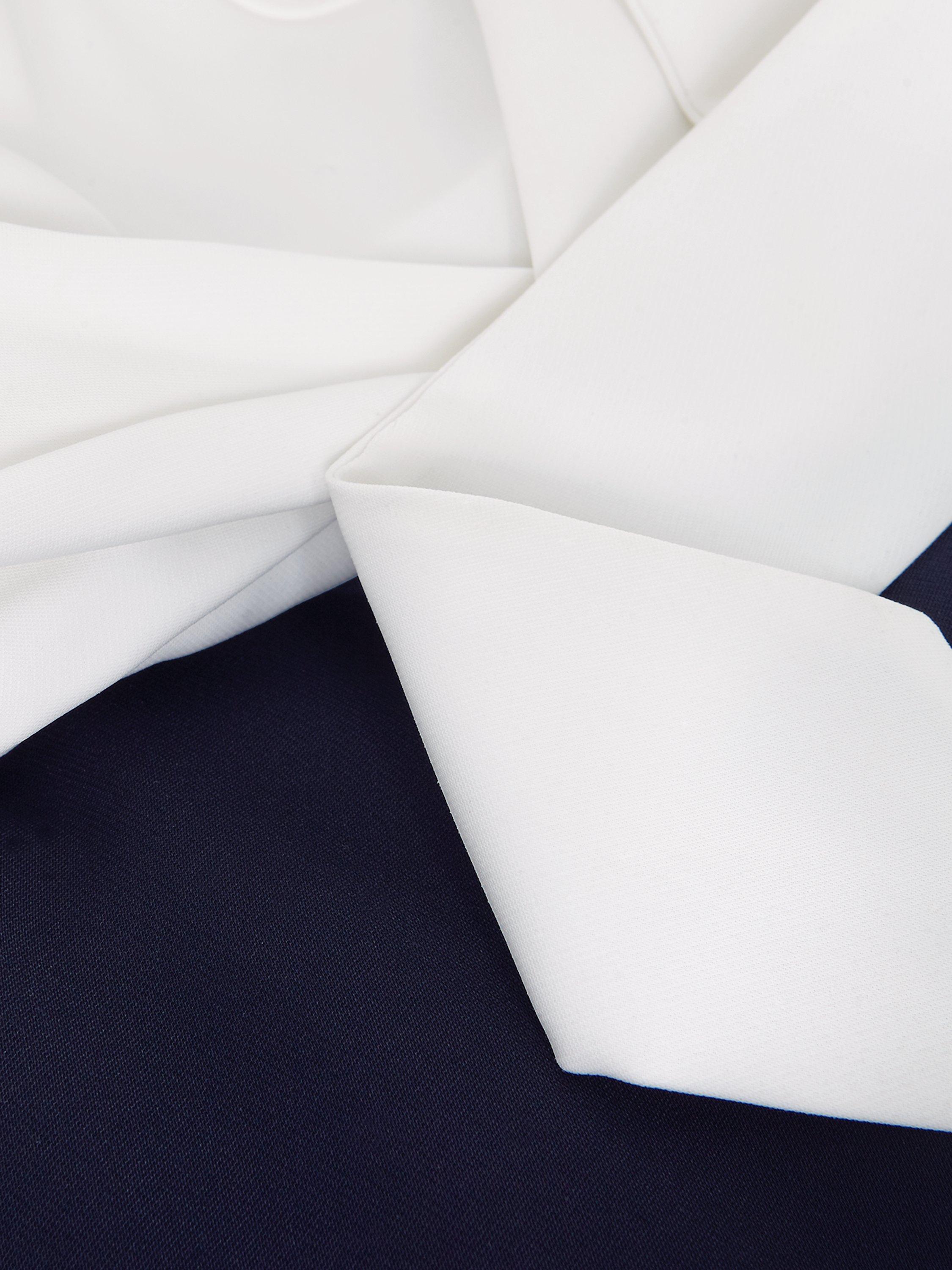Product image 6 of 8, which shows Phase Eight Ayla Colour Block Wide Leg Jumpsuit, Navy/Ivory, 26