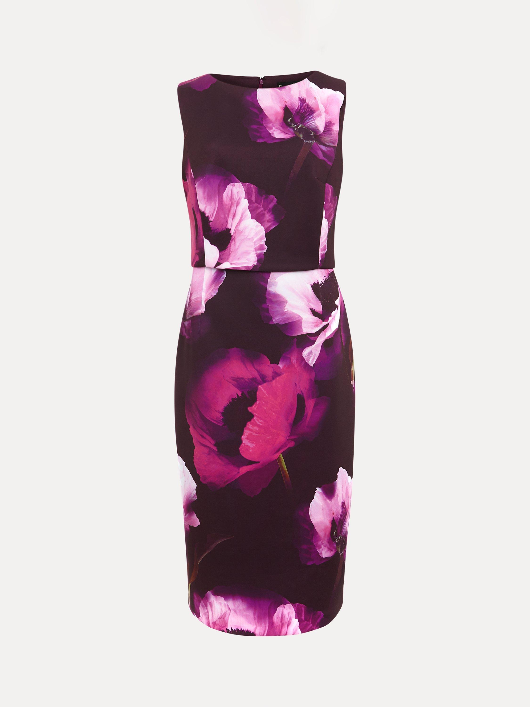 Product image 5 of 7, which shows Phase Eight Christie Floral Scuba Midi Dress, Multi, 20