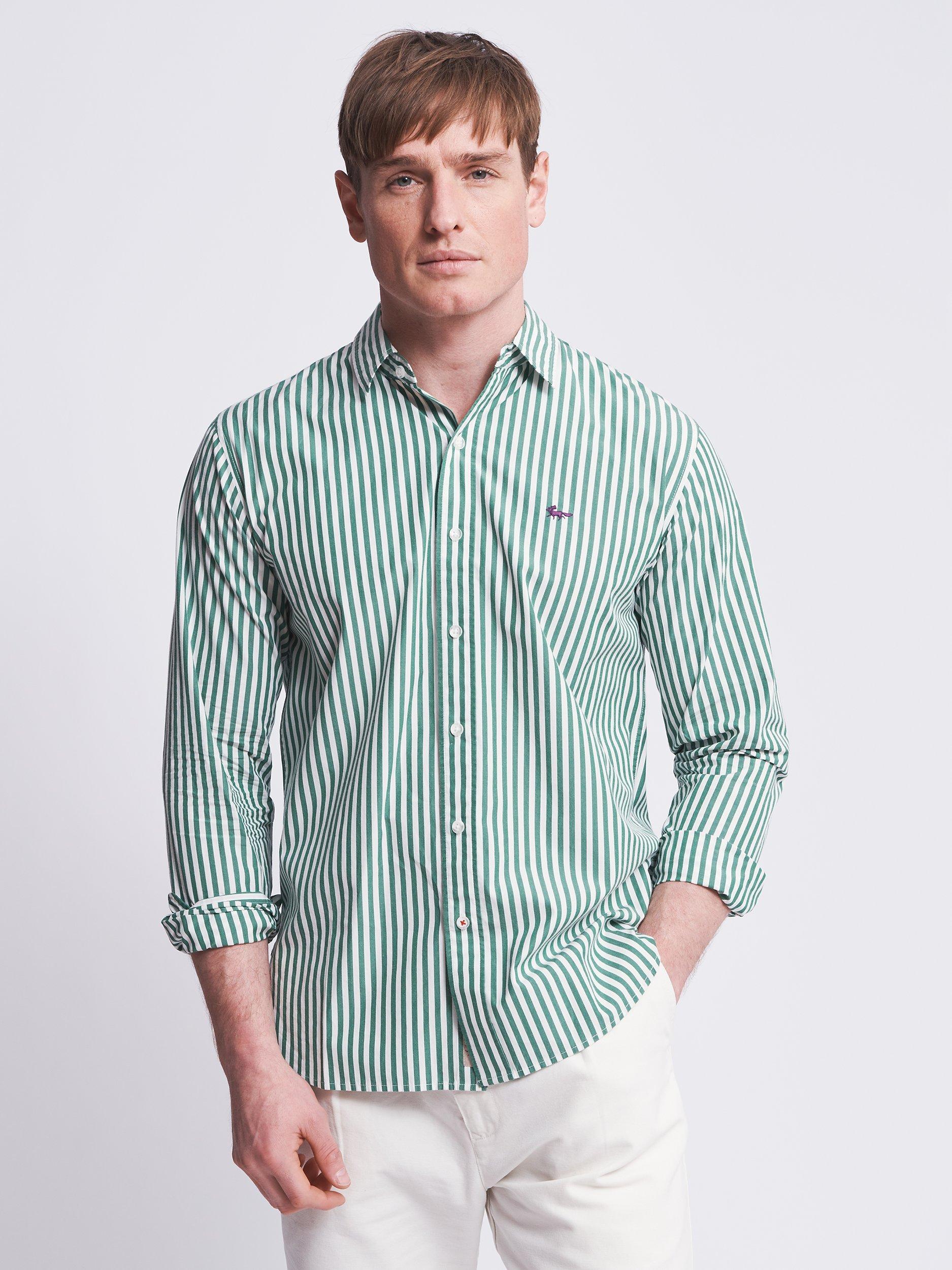 Aubin Bridges Cotton Poplin Long Sleeve Shirt, Leaf Stripe