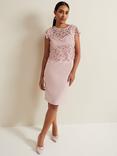 Phase Eight Petite Daisy Textured Bodice Dress