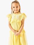 Angel & Rocket Kids' Luisa Embroidered Mesh Dress, Yellow