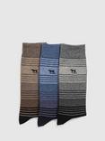 Rodd & Gunn Stratford Stripe Socks, Pack of 3