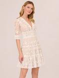 Adrianna Papell Lace Embroidery Mini Dress, Ivory/Nude