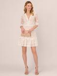 Adrianna Papell Lace Embroidery Mini Dress, Ivory/Nude