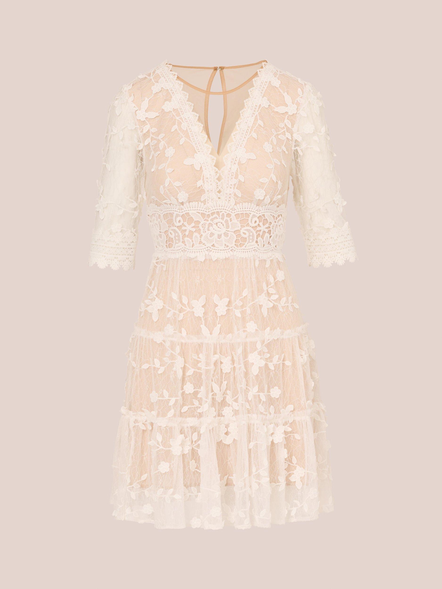 Adrianna Papell Lace Embroidery Mini Dress, Ivory/Nude, 6