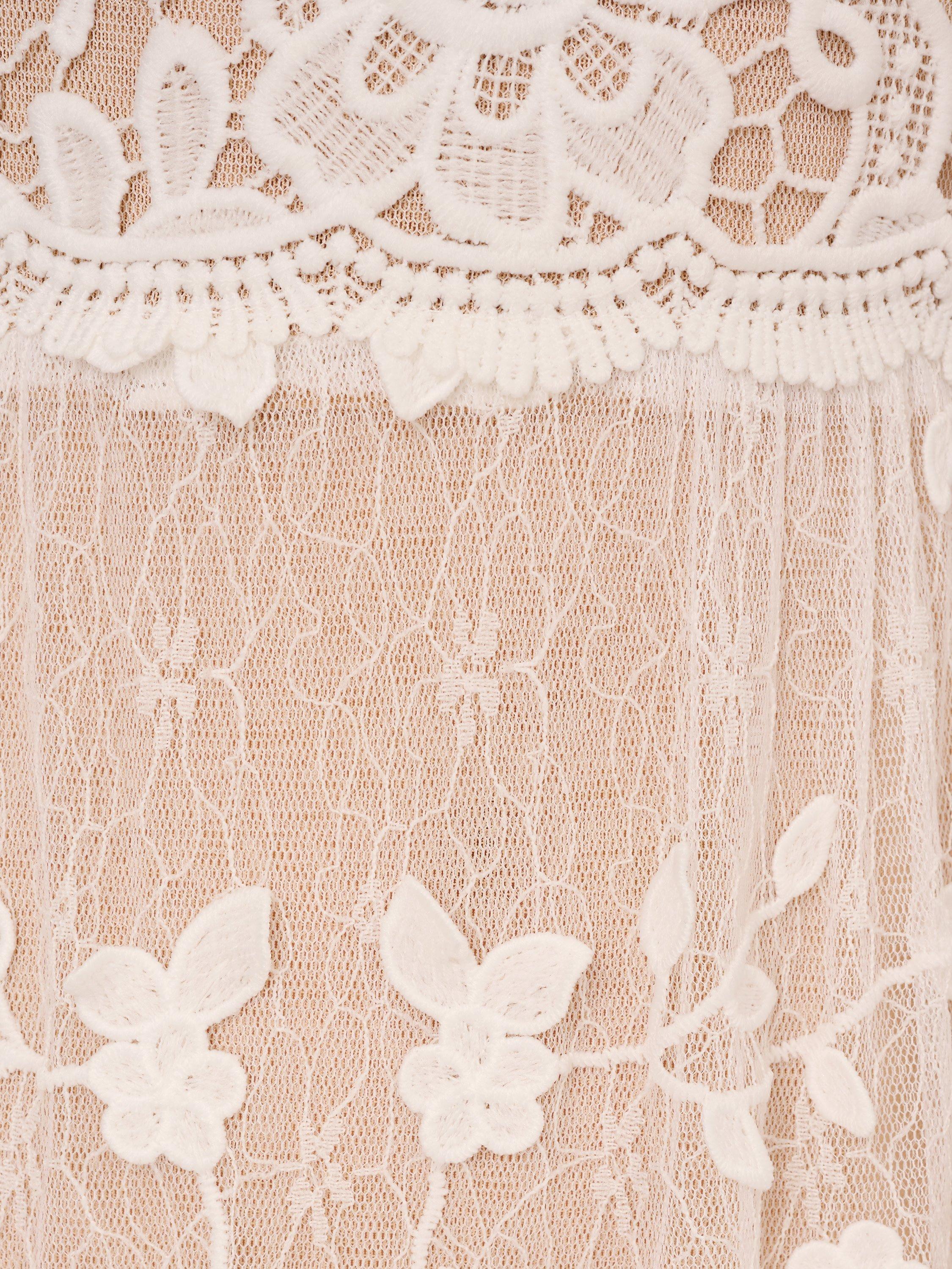 Adrianna Papell Lace Embroidery Mini Dress, Ivory/Nude, 6