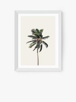 EAST END PRINTS Sisi and Seb 'Palm Tree I' Framed Print, White Frame