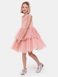 Whistles Kids' Tilda Tulle Frill Detail Dress, Dusty Pink