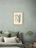 EAST END PRINTS Natural History Museum 'Bee & Hyacinth' Framed Print