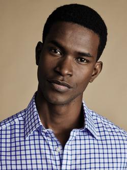 Charles Tyrwhitt Cotton Non-Iron Grid Check Shirt, Blue - view 2, Blue