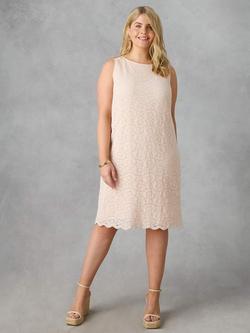 Live Unlimited Lace Shift Dress, Blush Pink, Blush Pink