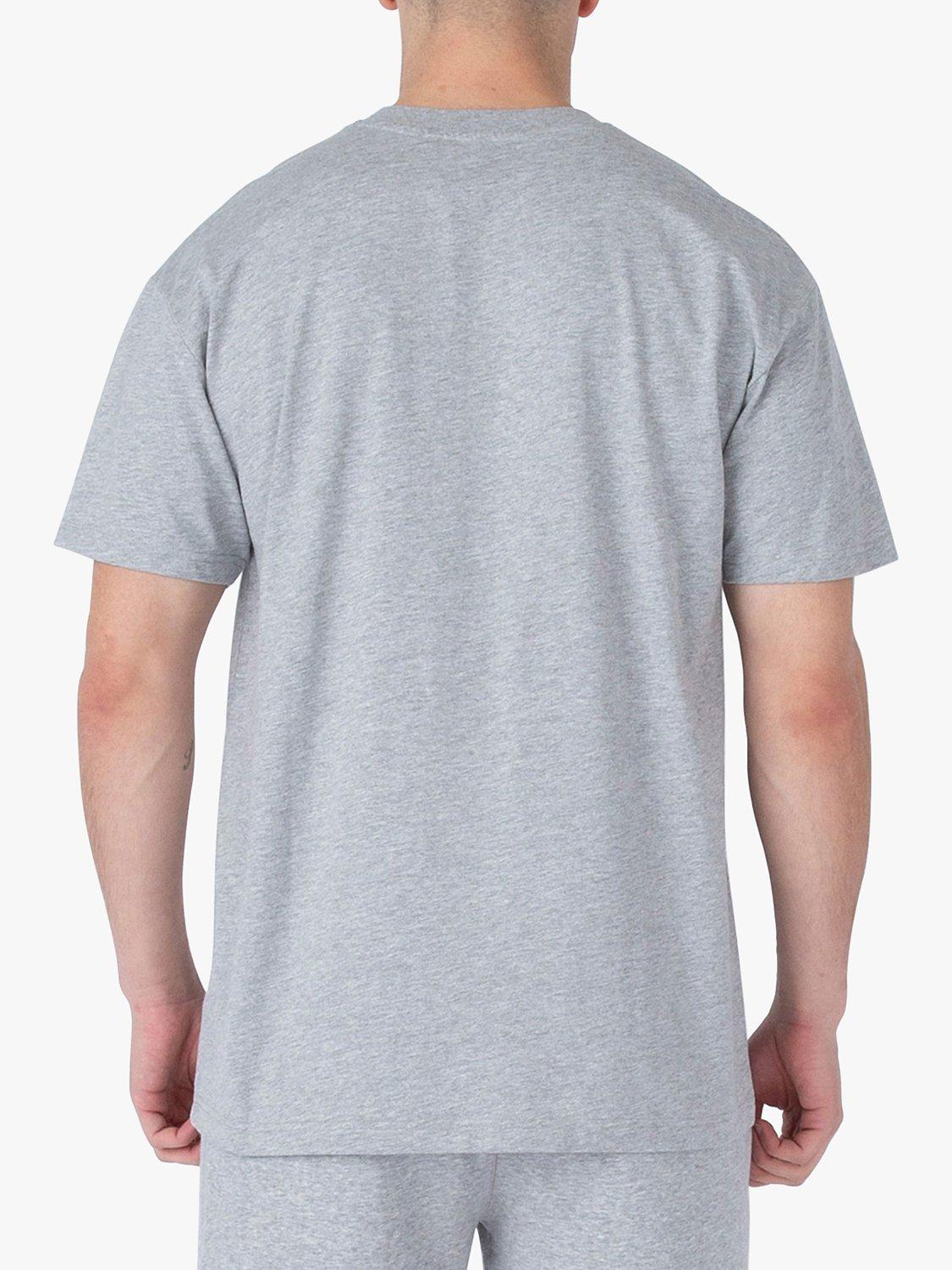 Product image 2 of 6, which shows LUKE 1977 Exquisite Relaxed Fit T-Shirt, Grey, XS