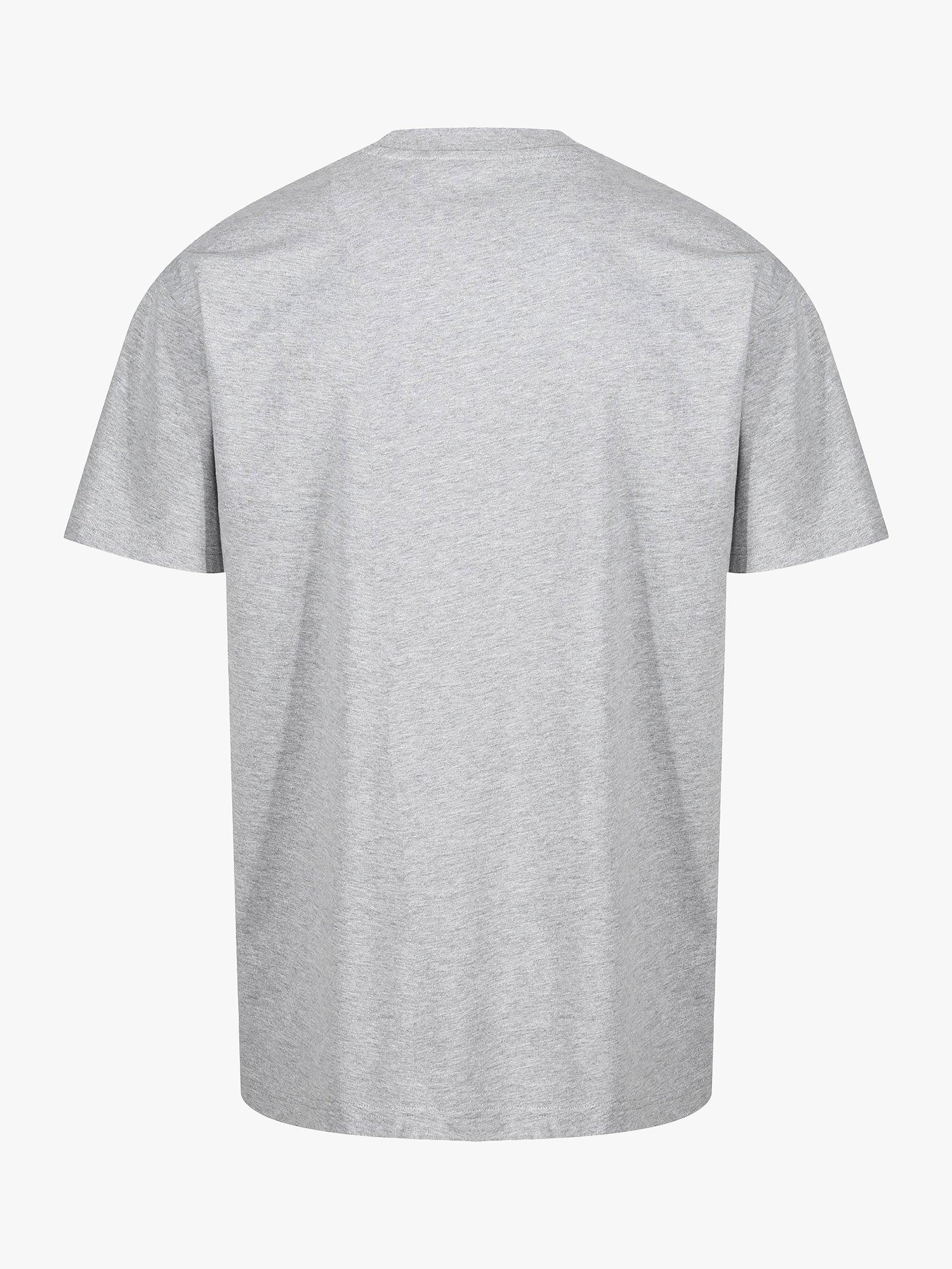 Product image 5 of 6, which shows LUKE 1977 Exquisite Relaxed Fit T-Shirt, Grey, XS