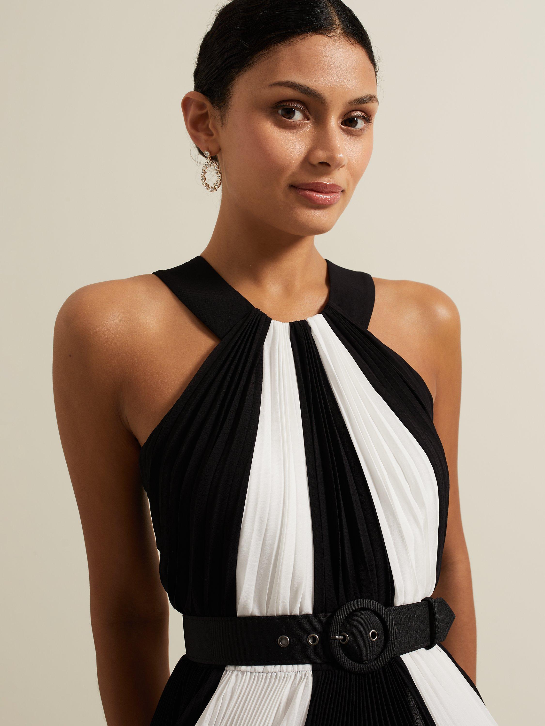 Product image 4 of 9, which shows Phase Eight Taylor Monochrome Stripe Pleated Maxi Dress, Black/Ivory, 6