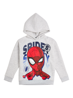 Brand Threads Kids' Spiderman Hoodie, Grey/Multi, Grey/Multi