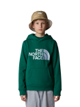 The North Face Kids' Drew Peak Hoodie, Green