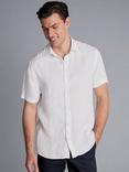 Charles Tyrwhitt Linen Regular Fit Shirt, White