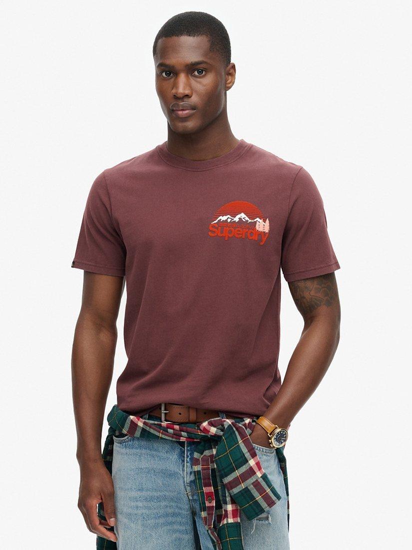 Product image 1 of 6, which shows Superdry Basic T-Shirt, Rum Raisin Brown, S