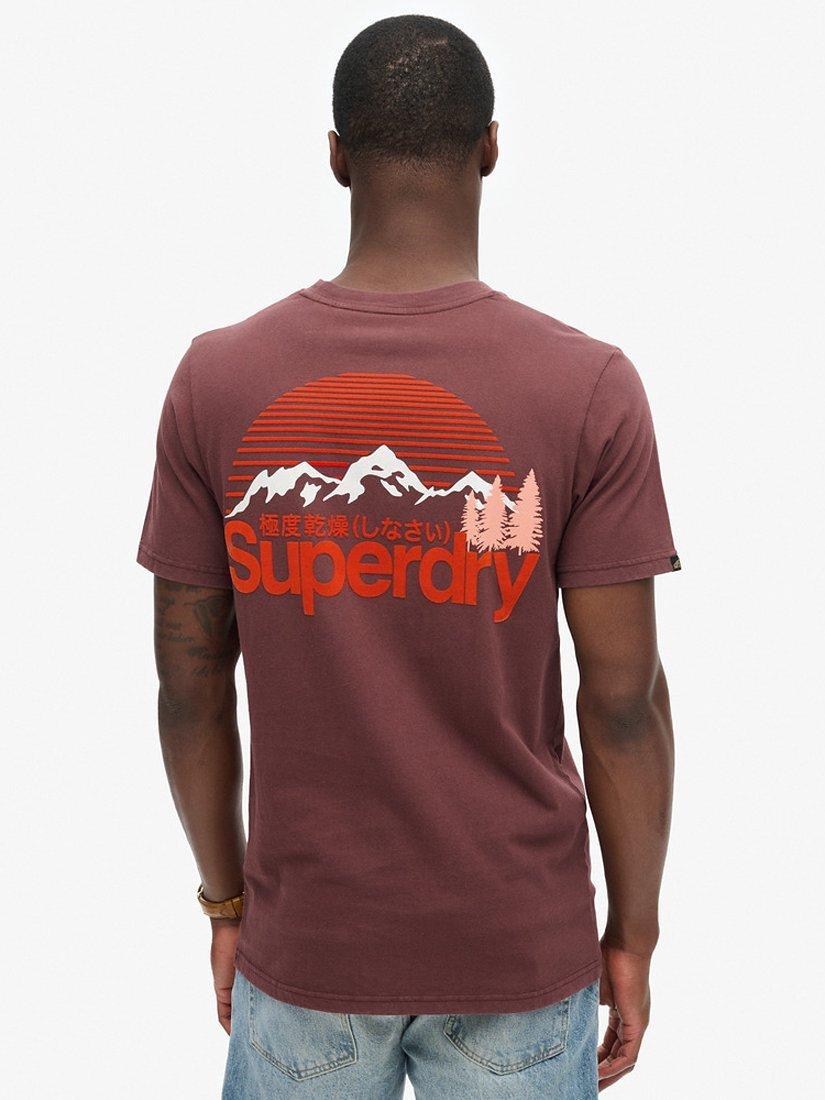 Product image 2 of 6, which shows Superdry Basic T-Shirt, Rum Raisin Brown, S