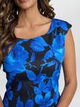 Gina Bacconi Madeline Floral Shift Dress, Black/Sapphire