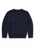 Polo Ralph Lauren Kids' American Flag Jumper, Hunter Navy
