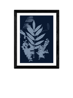 EAST END PRINTS Herald Black 'Cyano Foliage 1' Framed Print, Black Frame