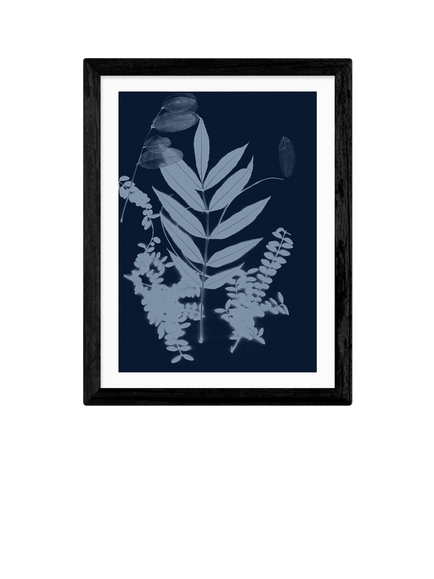 EAST END PRINTS Herald Black 'Cyano Foliage 1' Framed Print, Black Frame