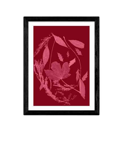 EAST END PRINTS Herald Black 'Red Foliage' Framed Print, Black Frame