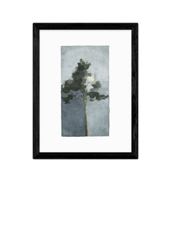 EAST END PRINTS Jörgen Hansson 'Pine II' Framed Print, Black Frame