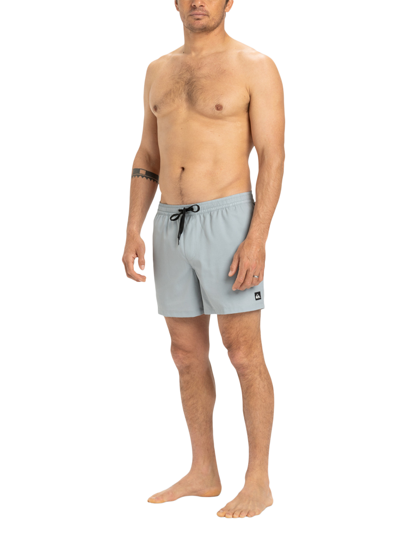Product image 4 of 7, which shows Quiksilver Everyday Flex 15" Swim Shorts, Quarry, S