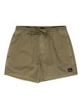 Quiksilver Everyday Surfwash Volley 15" Swim Shorts, Aloe