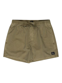 Quiksilver Everyday Surfwash Volley 15" Swim Shorts, Aloe, Aloe