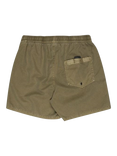 Quiksilver Everyday Surfwash Volley 15" Swim Shorts, Aloe