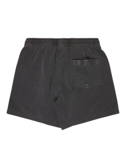 Quiksilver Everyday Surfwash Volley 15" Board Shorts, Black - view 2, Black