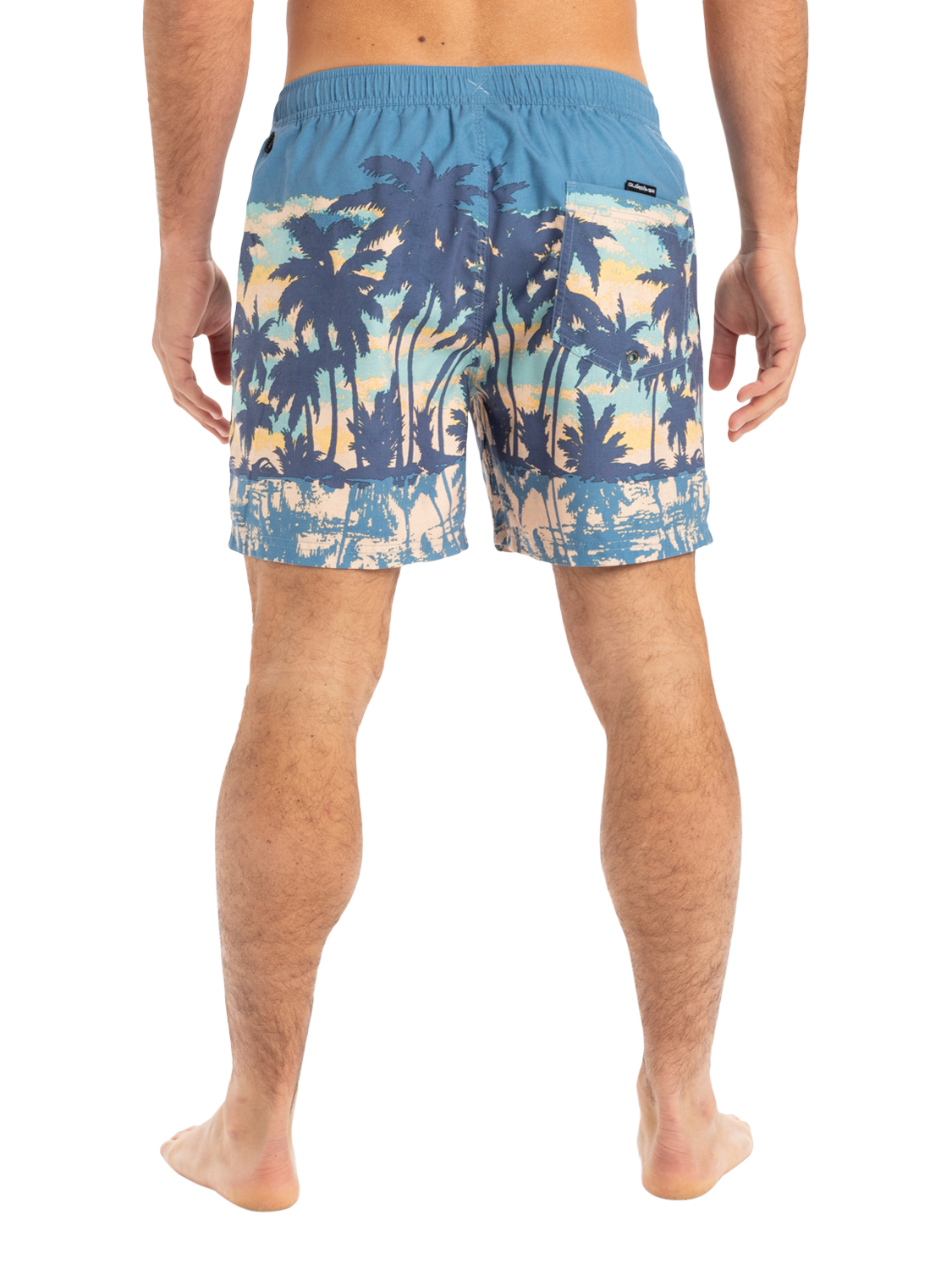 Product image 5 of 7, which shows Quiksilver Everyday Straight Volley 15" Swim Shorts, Coronet Blue, S