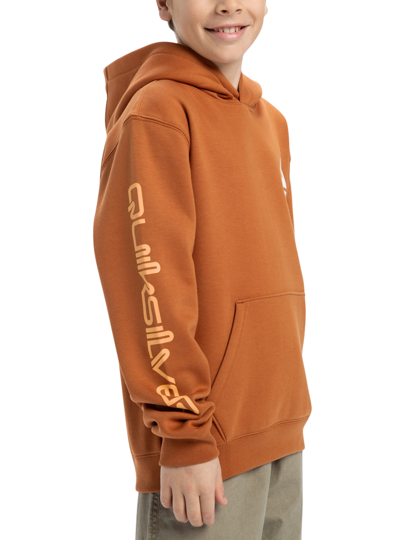 Product image 6 of 7, which shows Quiksilver Kids' Omni Logo Hoodie, Bran, 8 years