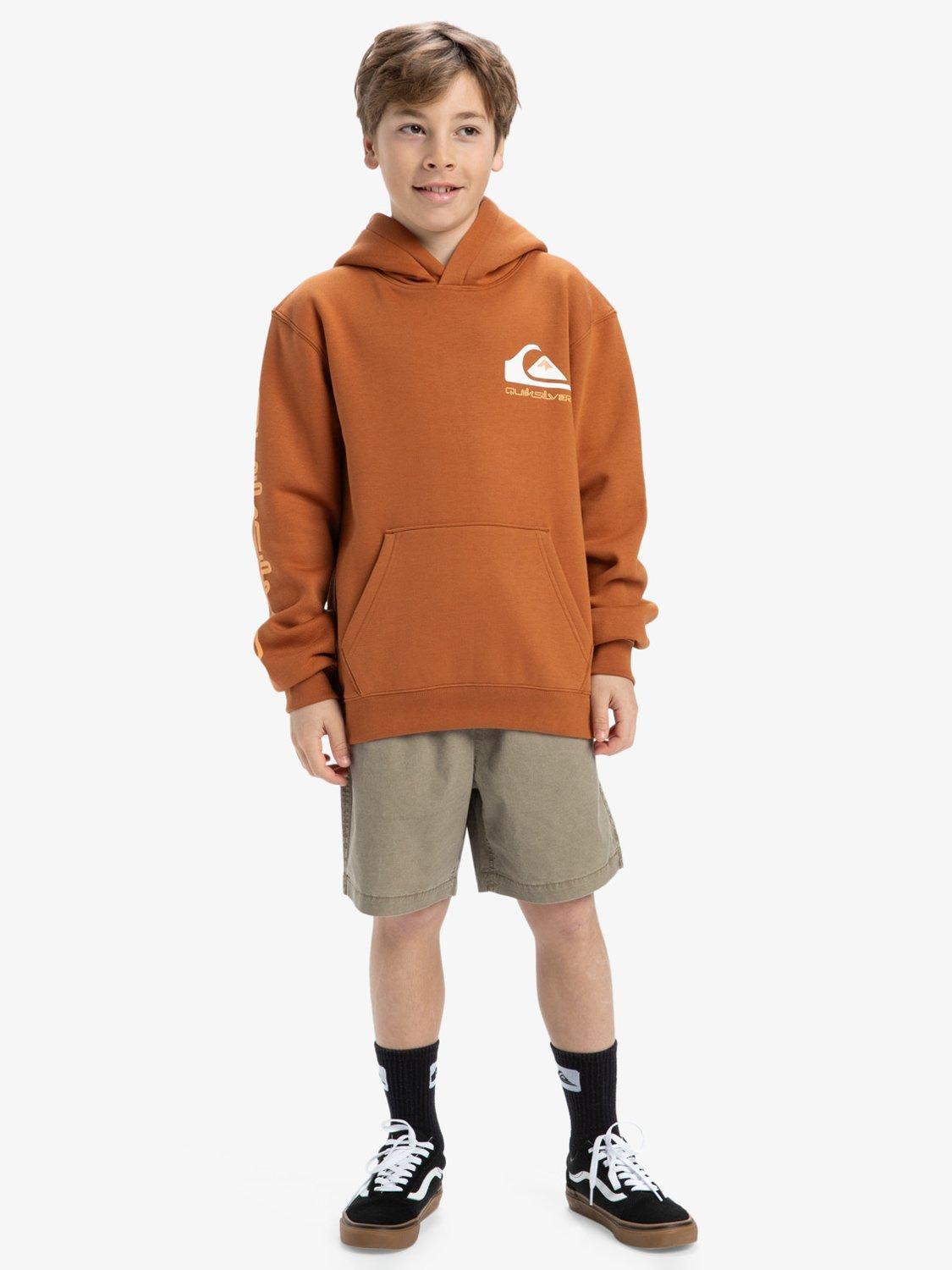 Product image 7 of 7, which shows Quiksilver Kids' Omni Logo Hoodie, Bran, 8 years