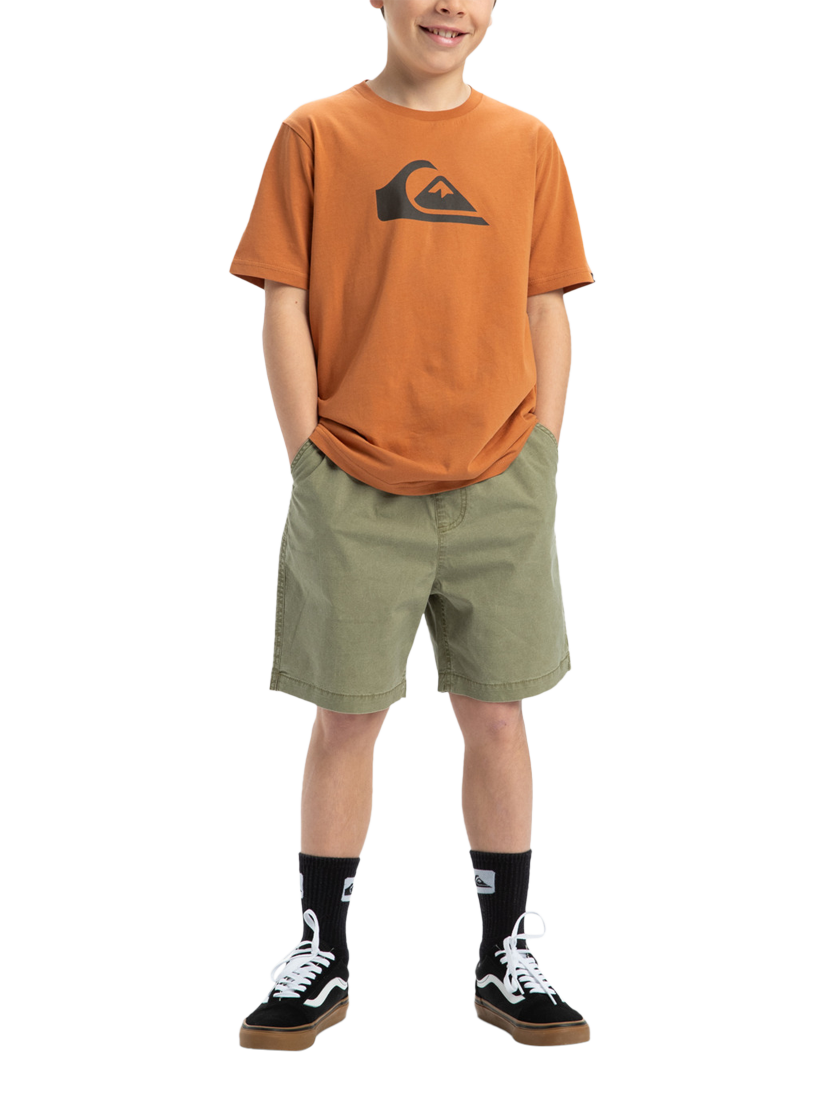 Product image 5 of 8, which shows Quiksilver Kids' Taxer Youth Shorts, Aloe, 8 years