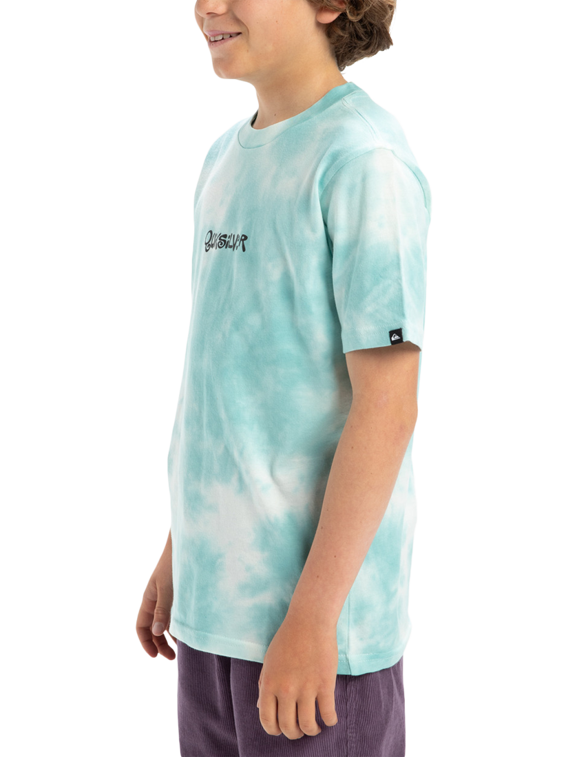 Product image 5 of 7, which shows Quiksilver Kids' Frog Ritual T-Shirt, Aqua Sky, 12 years