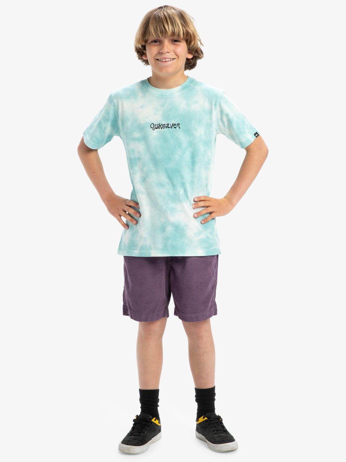 Product image 7 of 7, which shows Quiksilver Kids' Frog Ritual T-Shirt, Aqua Sky, 12 years