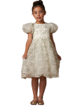 Angel & Rocket Embellished Tulle Kids' Dress, Green, Green