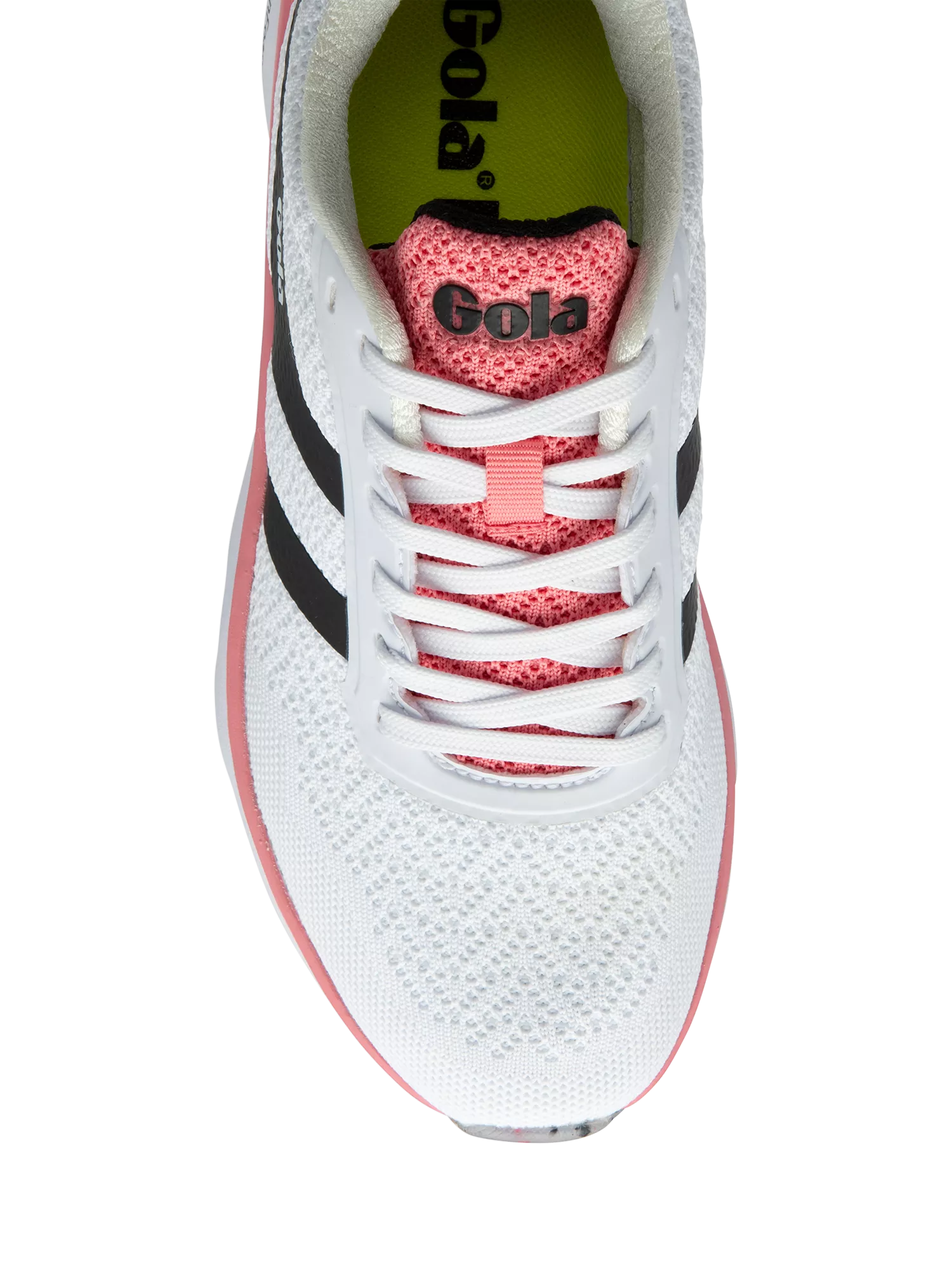 White/Black/Tea Rose 