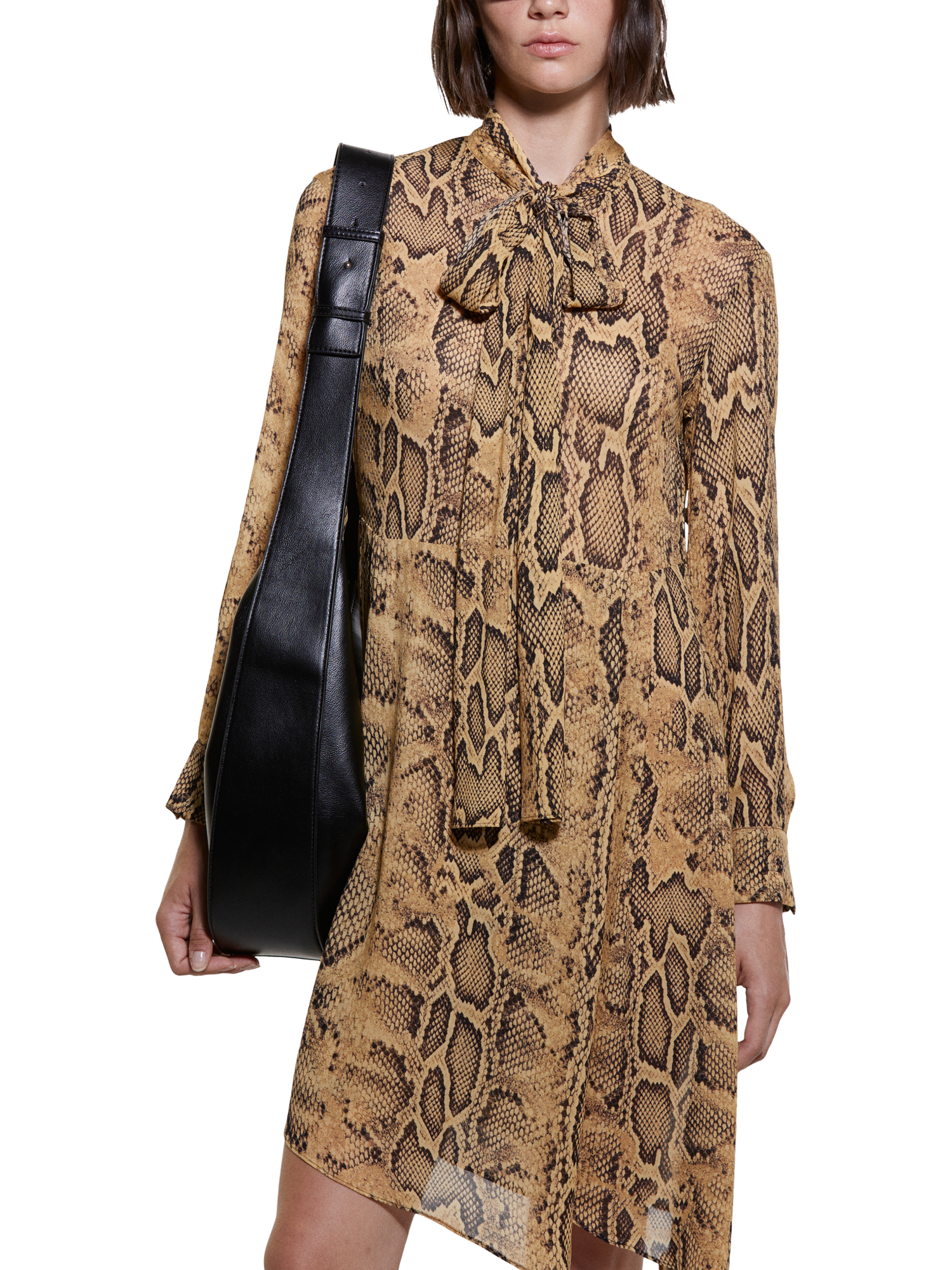 Product image 3 of 4, which shows SISLEY Snake Print Shirt Dress, Multi, 8